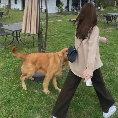 两公婆今晚玩大咗